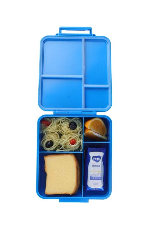 Best Thermal Bento Box for Adults
